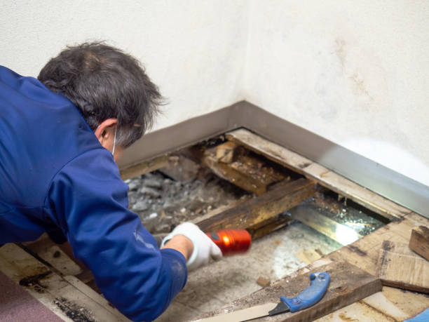 Water Damage Restoration in Regency At Monroe, NJ