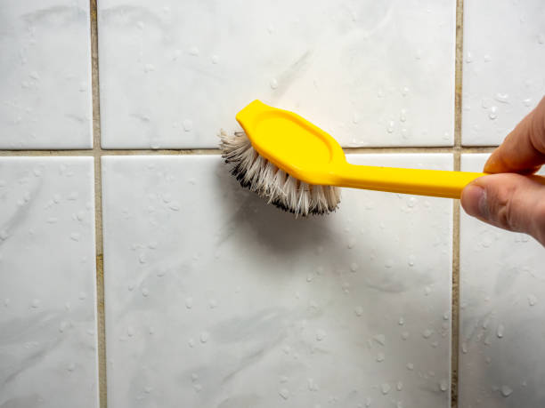 Best Emergency Mold Removal  in Regency At Monroe, NJ