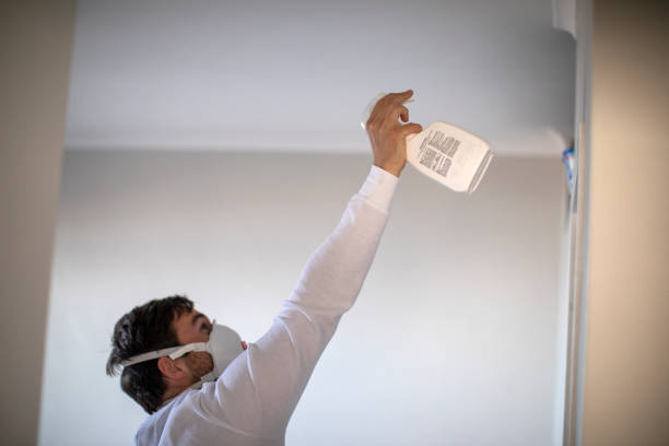 Best Affordable Mold Removal  in Regency At Monroe, NJ