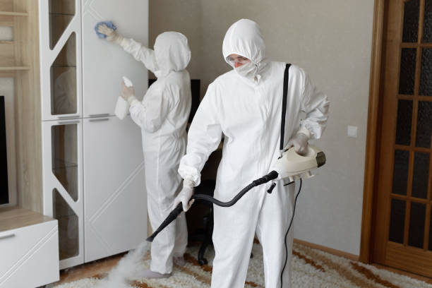 Mold Testing and Removal in Regency At Monroe, NJ