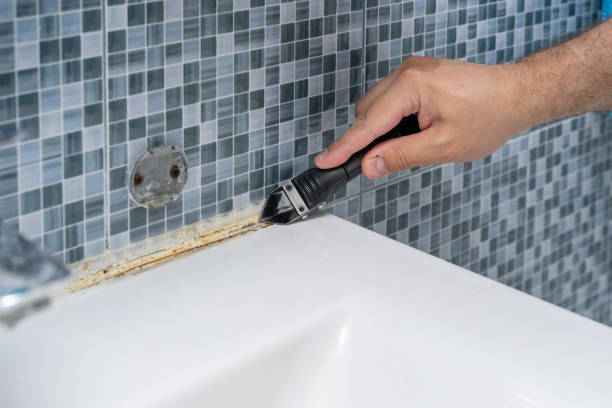 Best Fast Mold Removal  in Regency At Monroe, NJ