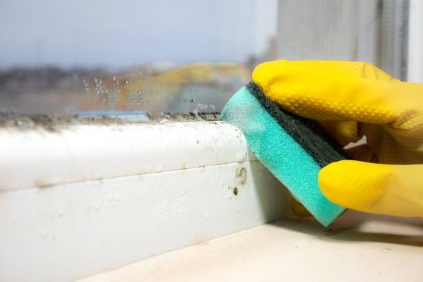 Best Fast Mold Removal  in Regency At Monroe, NJ