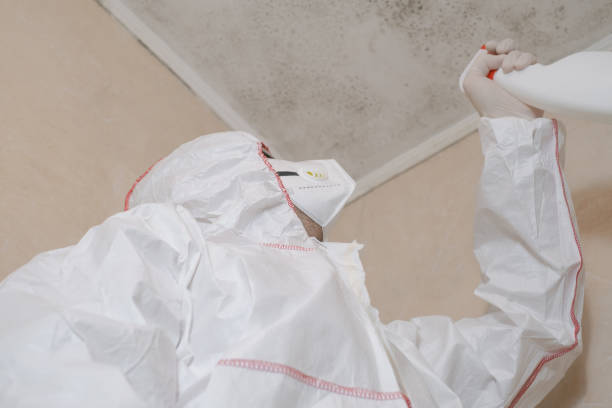 Best Mold Remediation  in Regency At Monroe, NJ