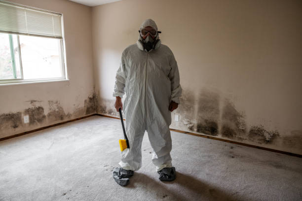 Best Professional Mold Removal  in Regency At Monroe, NJ