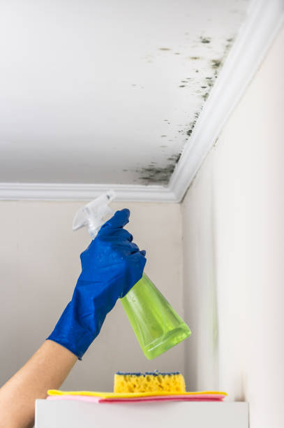 Best Residential Mold Removal  in Regency At Monroe, NJ