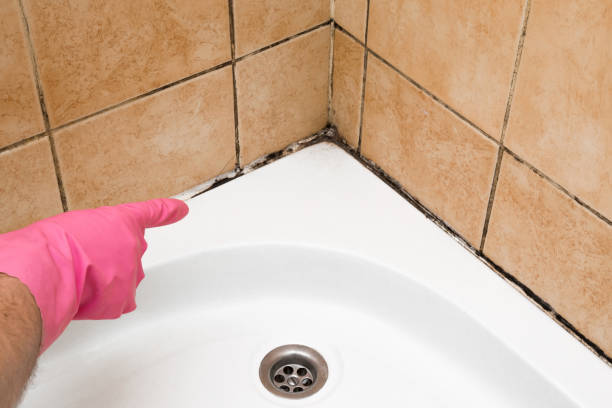 Best Mold Cleaning Services  in Regency At Monroe, NJ